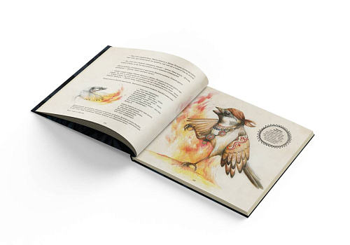 Книга "Сказочный Амур"