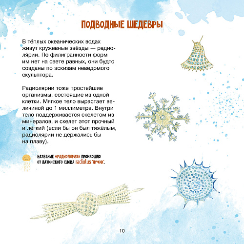 Книга "Удивительный зоопланктон"