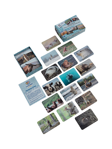 Мемори "Эти забавные животные"