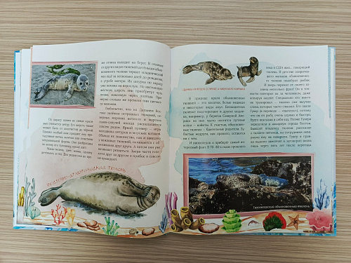 Тюлень Ластик и его друзья. Маргарита Бесова
