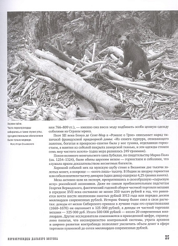 Книга "Первопроходцы Дальнего Востока."