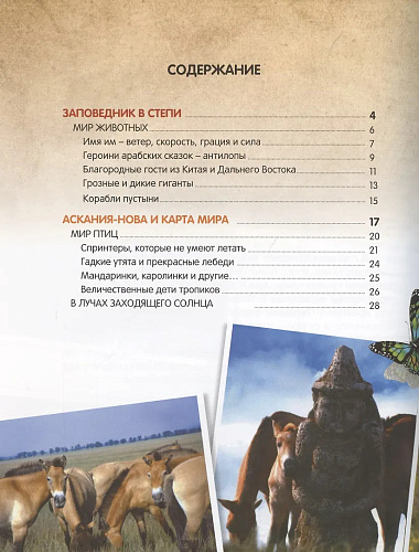 Климов В. О птичках, рыбках и зверюшках (Первый шаг в науку)