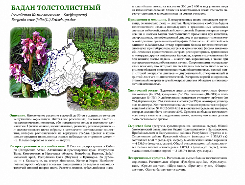 Книга Лекарственные растения (Бурятия, Алтай, Хакасия)