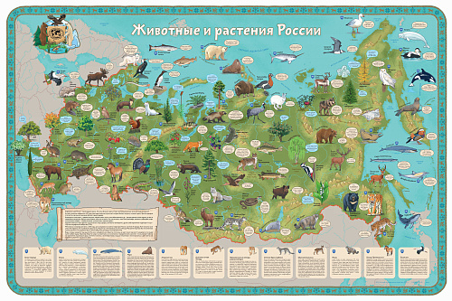 Карта РГО Животные и Растения России