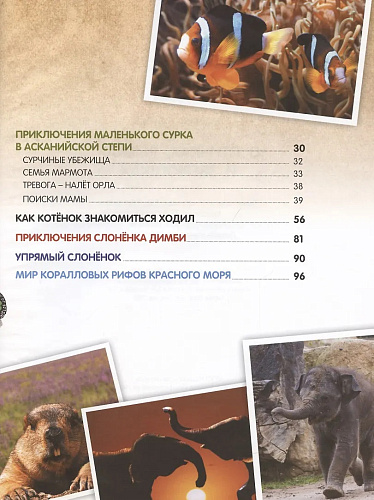 Климов В. О птичках, рыбках и зверюшках (Первый шаг в науку)