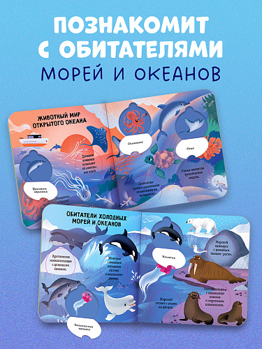 Книжка с окошками. Океаны и моря