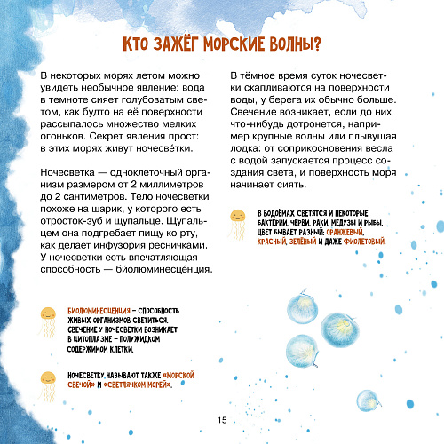 Книга "Удивительный зоопланктон"