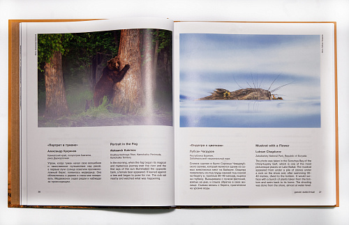 Альбом "Россия самая красивая страна" Фотоконкурс 2025