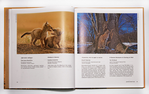 Альбом "Россия самая красивая страна" Фотоконкурс 2025